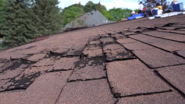 Best Wood Shake Roofing  in Providence, UT