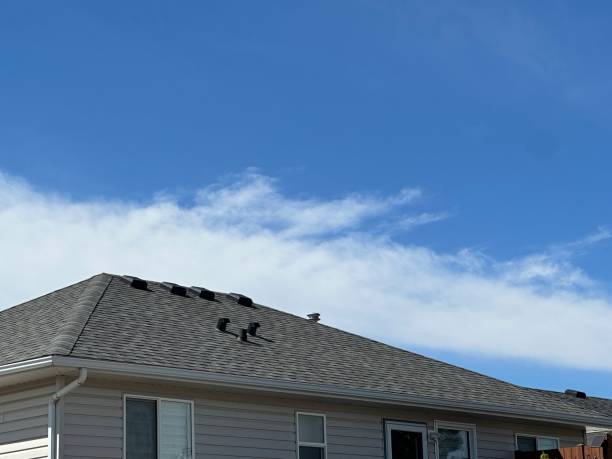 Best Skylights  in Providence, UT